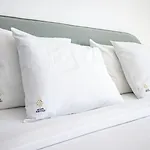 公寓 Charming Old Town 1br 50m From Ac Wi-fi Parking 阿尔布费拉