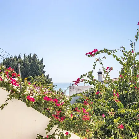 Appartement Charming Old Town 1br 50m From Ac Wi-fi Parking