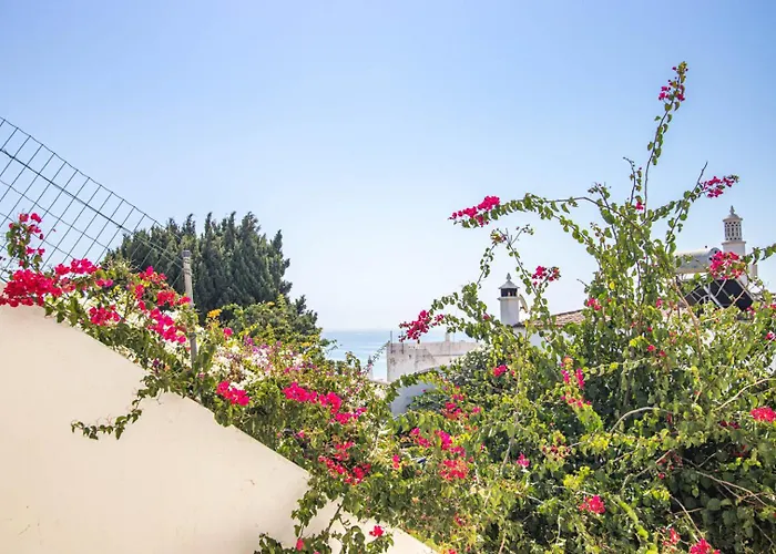 公寓 Charming Old Town 1br 50m From Ac Wi-fi Parking